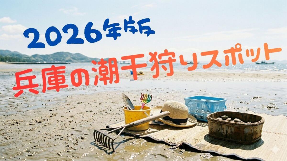2026年最新　兵庫県のおすすめ潮干狩りスポット5選　お昼の干潮狙いで1日楽しむコツと持ち物を徹底解説